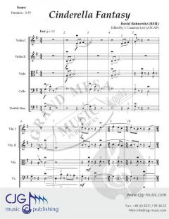 Cinderella Fantasy von David Bobrowitz 