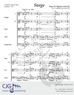 Surge von Bruce W. Tippette 