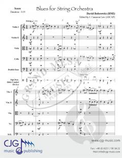 Blues for String Orchestra von David Bobrowitz 