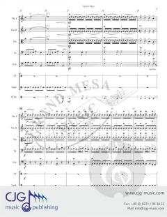 Space Ninja von Noe Benitez 