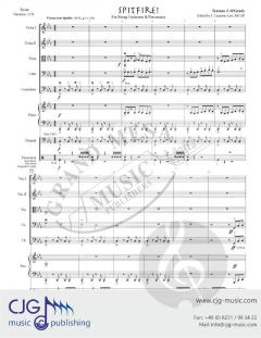 Spitfire von Terrence O'Grady 