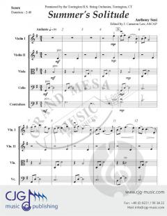 Summer's Solitude von Anthony Susi 