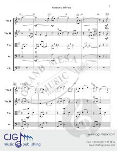 Summer's Solitude von Anthony Susi 