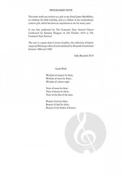 Good Wish von Sally Beamish 