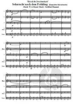 Klassik Snacks - 'Klassik für Zwischendurch'  