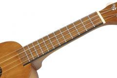 Soprano Ukulele - Trans Brown 