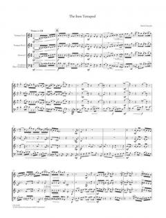 The Iron Tetrapod von Daniel Schnyder 