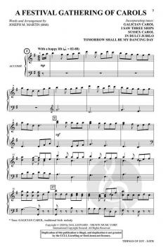 Tidings of Joy von Joseph M. Martin 