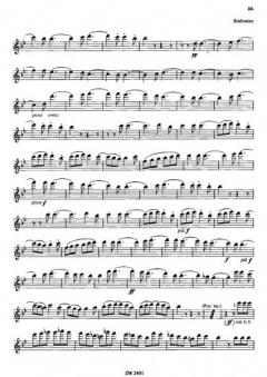 Orchesterstudien von Ludwig van Beethoven 