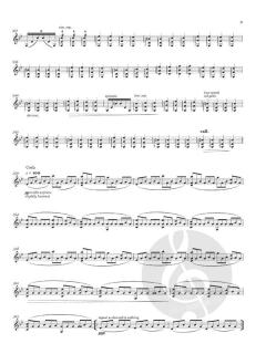 Ornament and Crime von Bryce Dessner 