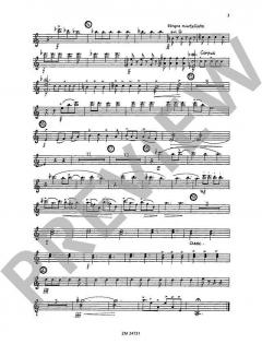 Concierto de Samba von Klaus Wüsthoff 