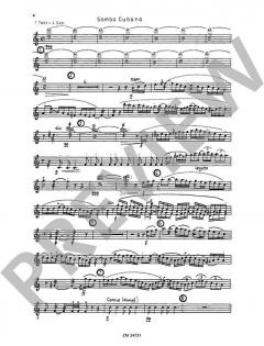 Concierto de Samba von Klaus Wüsthoff 