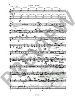 Concierto de Samba von Klaus Wüsthoff 