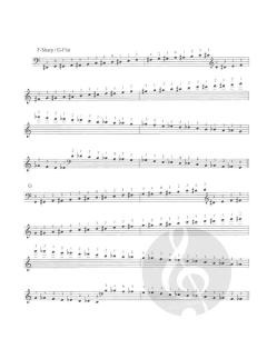 The Galamian Scale System for Violoncello von Hans Joergen Jensen im Alle Noten Shop kaufen