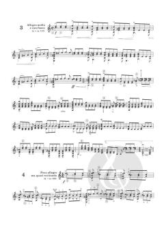 Caprice Variations von Eliot Fisk 