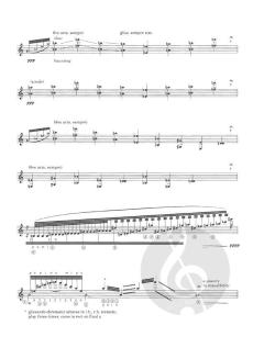 Caprice Variations von Eliot Fisk 