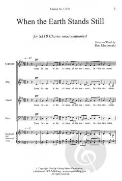 When the Earth Stands Still von Don MacDonald 