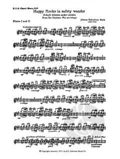 Happy Flocks in Safety Wander von Johann Sebastian Bach 