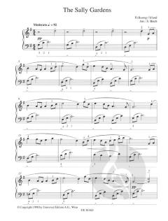 Easy Pop Piano Band 2 von Sven Birch 