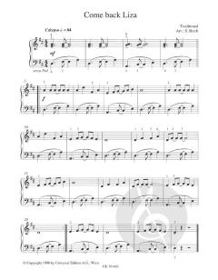 Easy Pop Piano Band 2 von Sven Birch 