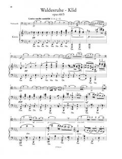 Werke für Violoncello und Klavier von Antonín Dvorák im Alle Noten Shop kaufen