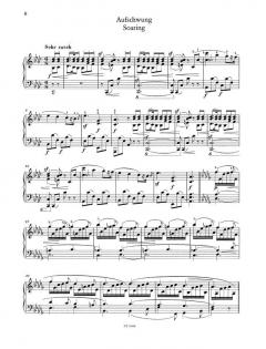 Fantasiestücke op. 12 von Robert Schumann 