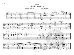 Fröhlicher Beethoven von Ludwig van Beethoven 