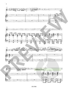 Ungarische Rhapsodie op. 385 von Wilhelm Popp 