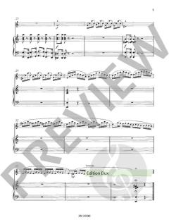 Ungarische Rhapsodie op. 385 von Wilhelm Popp 