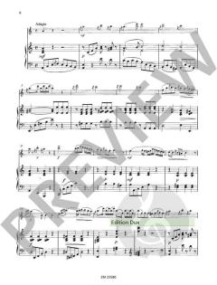 Ungarische Rhapsodie op. 385 von Wilhelm Popp 