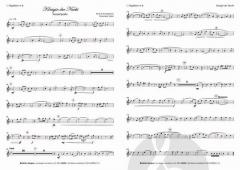 Königin der Nacht von Maximilian Müller 