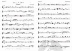 Königin der Nacht von Maximilian Müller 