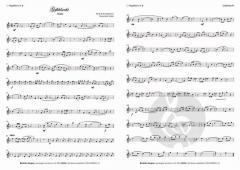 Gefühlsecht von 6erBLAS 