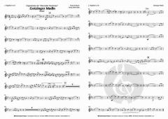 Gotzinger Madln von Obermüller Musikanten 