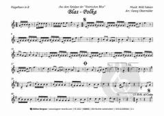 Steirische Tanzlmusi von Willi Fabian 