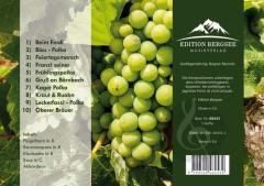 Steirische Tanzlmusi von Willi Fabian 