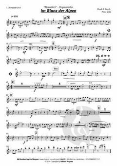 Im Glanz der Alpen von Alpenblech 