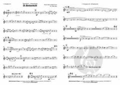 Dr Berlesmichl von Alpenblech 