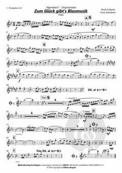 Zum Glück gibt's Blasmusik von Alpenblech 