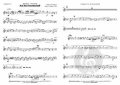 Auf die Freundschaft von Alpenblech 