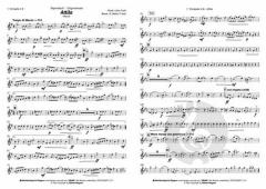 Attila von Alpenblech 