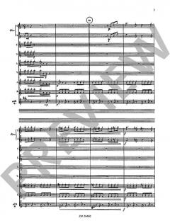 Cassation von Jindrich Feld 