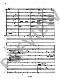 Cassation von Jindrich Feld 