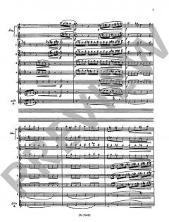 Cassation von Jindrich Feld 