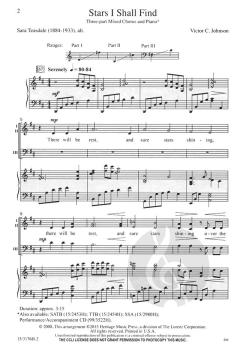 Stars I Shall Find von Victor C. Johnson 