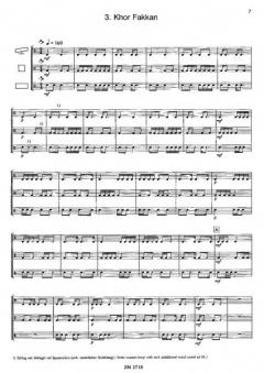 Trio Oriente (Siegfried Fink) 