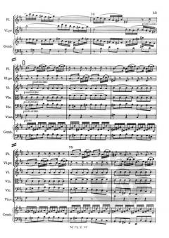 Brandenburgisches Konzert Nr. 5 BWV 1050 (J.S. Bach) 