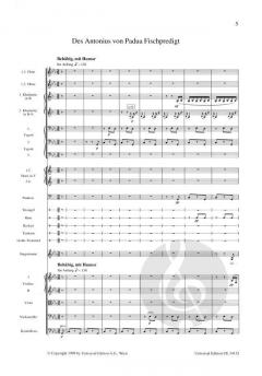 Des Knaben Wunderhorn Band 2 von Gustav Mahler 