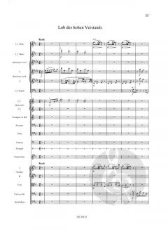 Des Knaben Wunderhorn Band 2 von Gustav Mahler 