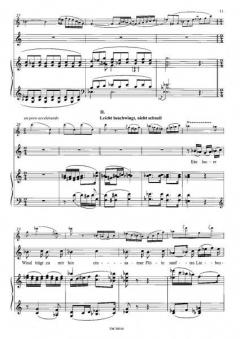 Flöten-Lieder op. 109 